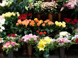 Floral Vases